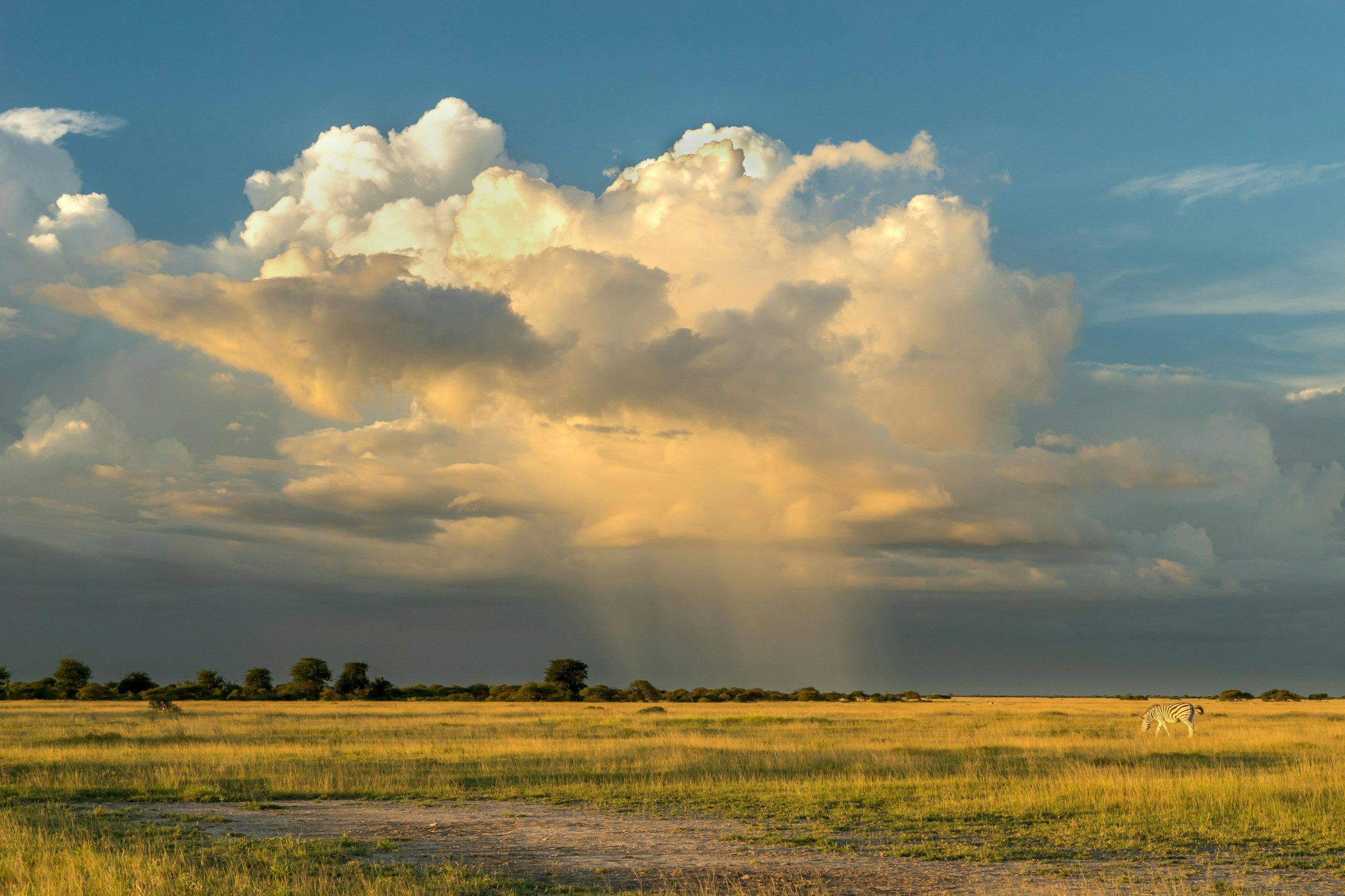 A storm cloud over open grassland in Botswana